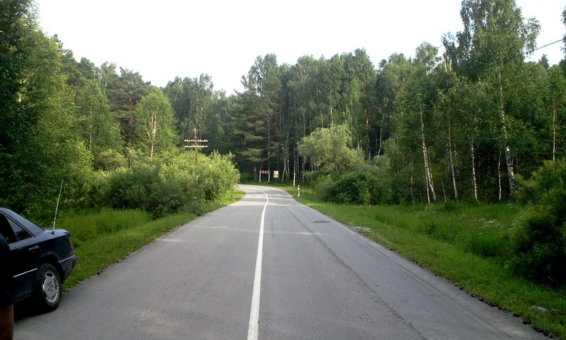 Живописная дорога возле села Колывань